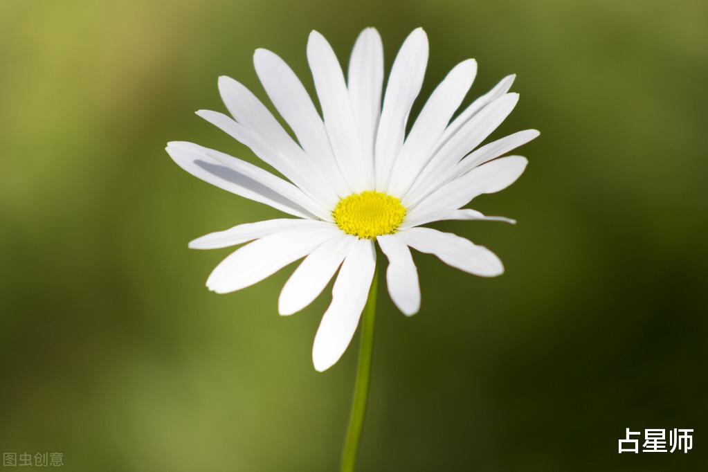 运势|（周运）玛法达_8月13日至19日星座运势：硝烟迷离，解铃有谱