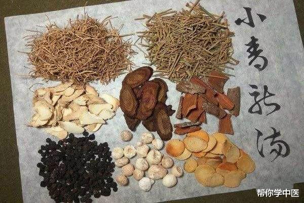 桂枝|张仲景治痰有一套!八味药,寒气湿气一起治,请用心揣摩