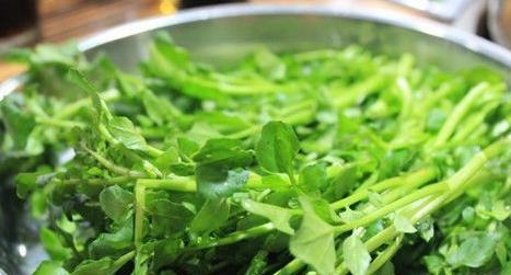 妇科病|女性不想过早衰，多吃此物，益气补血，减皱祛斑，赶跑妇科病