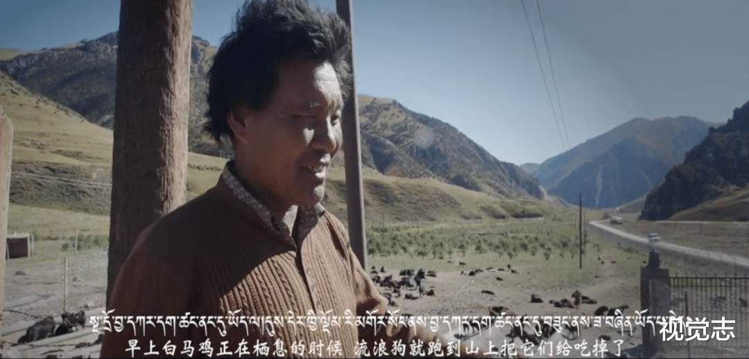 视觉志|那个身价千万的网红,终于被你们毁了