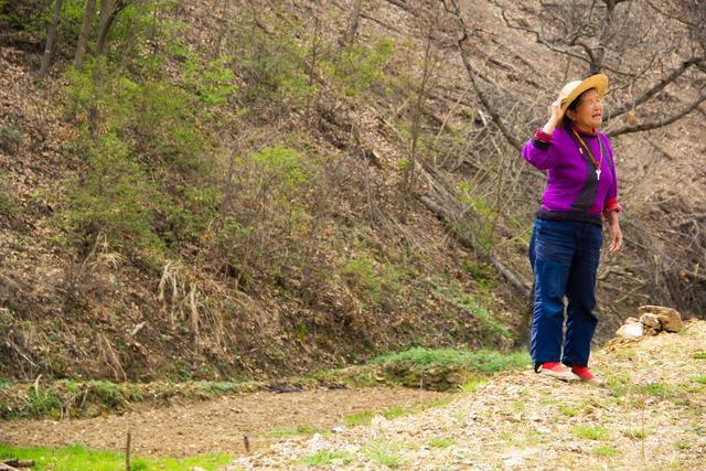 『』行走秦岭水泉沟：房都建在高高的山坡上，远看仙气很足，诗情画意
