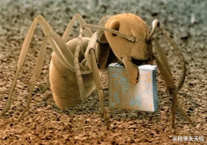 显微镜|22张显微镜下看到的奇妙的照片，看完还敢这样刮胡子吗？