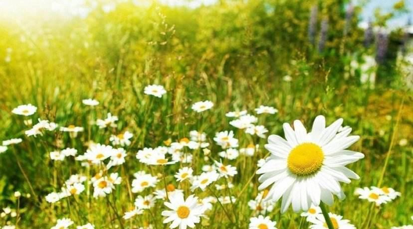 旧爱|10月，桃花降临，旧爱转身，天赐良机，和好如初，破冰相拥