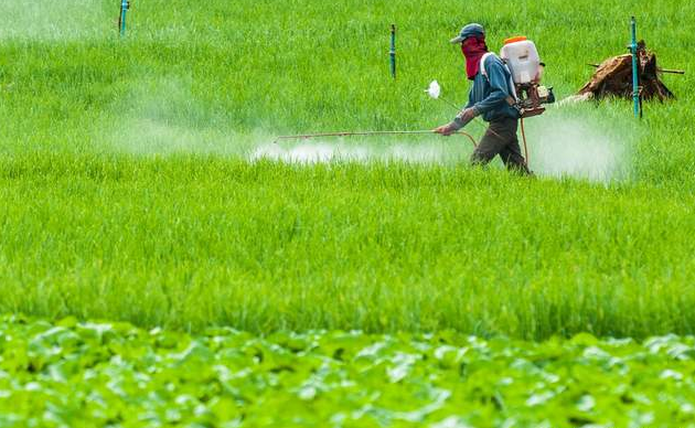 大老胡说三农 12种常用农药开始涨价，对种粮成本的影响有多大？我们分析一下