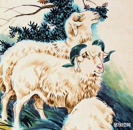 星座女|岁末年初，贵人多，生意好，烦恼少的4生肖，和气生财，家旺人旺