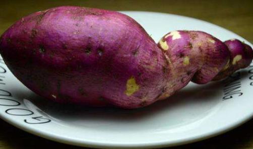 @心理测试：三种薯类，你最喜欢吃哪一种？测你是否跟爱人过苦日子