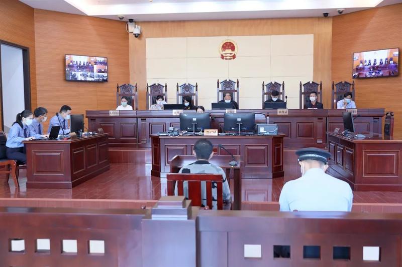 福州日报|下田抓“田鸡”,福州3男子被送上法庭!还将承担刑事责任