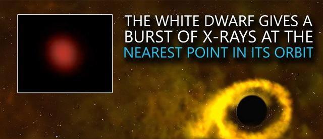 黑洞■科学家发现一颗恒星在围绕黑洞运行而不被撕碎！