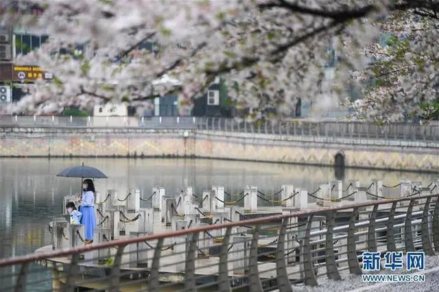 职场故事：四川老板一家五口滞留武汉70天盼解封：亏损近12万，一岁儿子喝米汤…