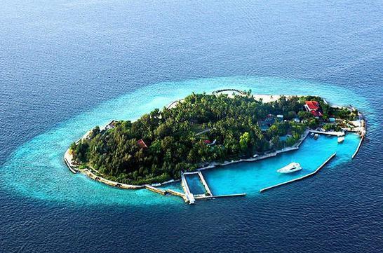 「科学家」科学家去神秘小岛考察,却离奇失踪,原始土著说:天上出现一个洞