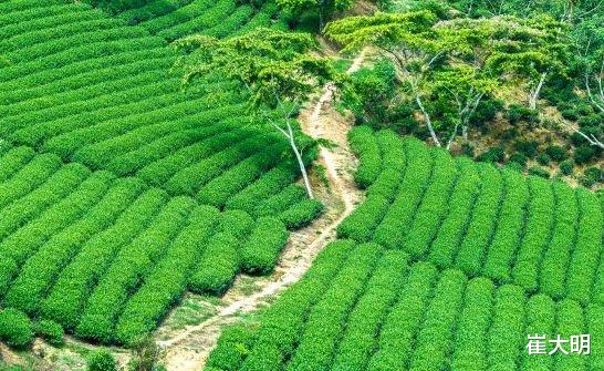 人际关系|7月15日开始，4属相时来运转，贵人运爆棚，惊喜不断，富贵吉祥