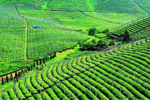 【营养师】迎接高考填志愿 你所不了解的高校食品专业及就业前景