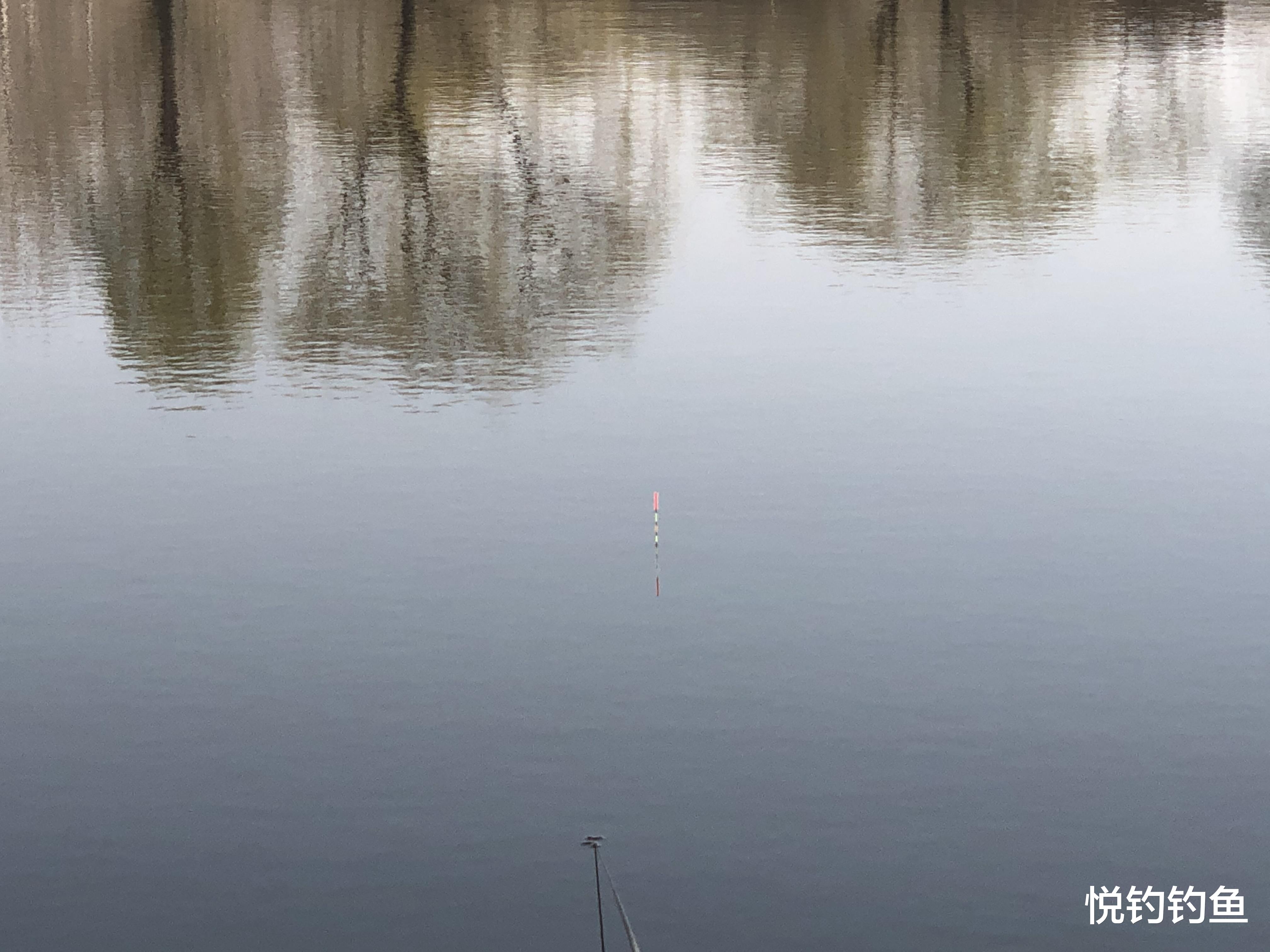 鲫鱼|钓鱼时候变化如此之多,也别忽略路上的风景……