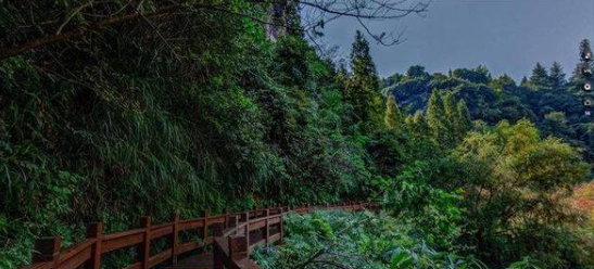 tiktok|VR全景旅游趋势