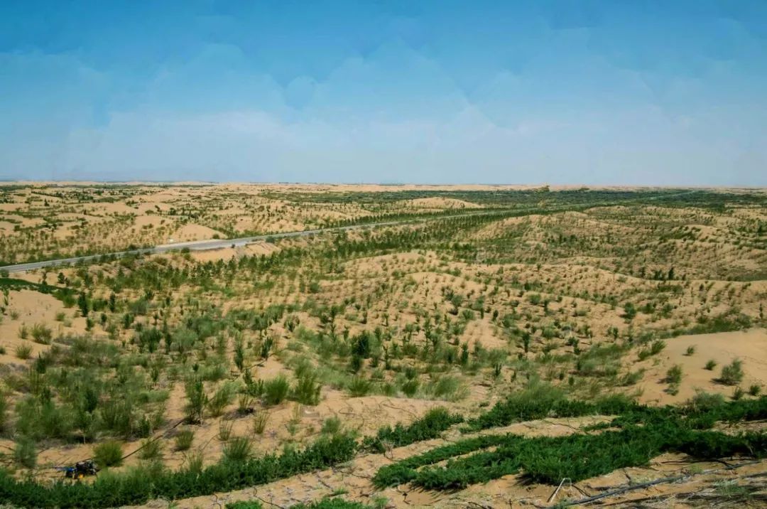 毛乌素沙漠：这块不毛之地，快被中国人消灭了