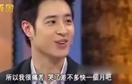 潘玮柏|扒了扒潘玮柏妻子后，我突然不心疼吴昕了