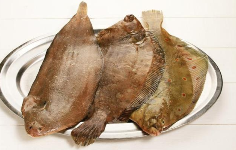 龙利鱼|为什么备受家长喜爱的龙利鱼,却遭海鲜摊老板嫌弃:反正我是不吃