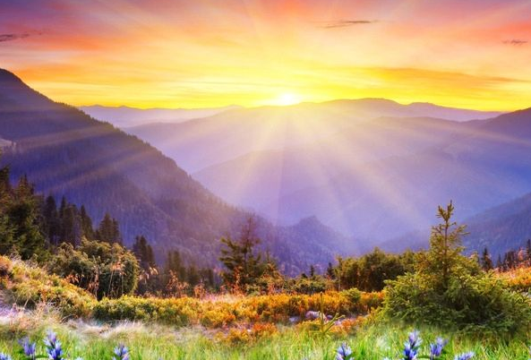 运势|进入8月，4属相添财添喜，喜逢贵人，运势旺上加旺，合家幸福