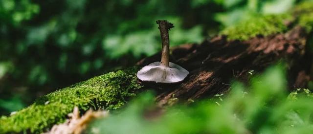 『涠洲岛』越到夏天，越是不能去的9个国内旅行地！