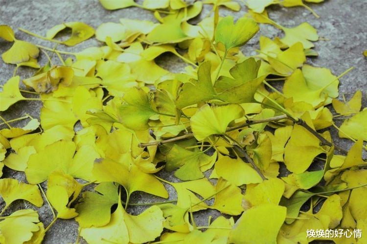 属蛇|未来10天，千里姻缘，沧海桑田，也要奔向前任，长相厮守的4星座