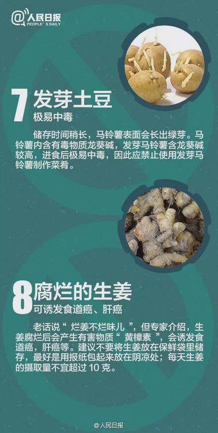 中毒▲每年都有人吃它中毒！尚无特效药！