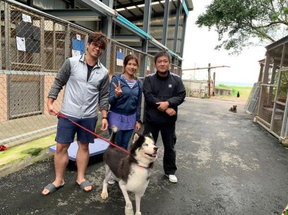 二哈两度被弃养变得暴戾，曾咬死上百只鸡！所幸被爱感化找到新家