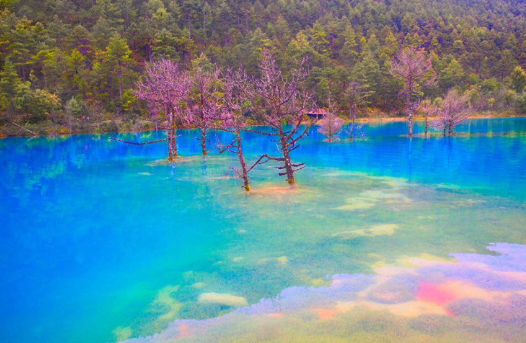 【丽江】中国最值得去的4座城市，去了就不想走，网友：去过都喊赞！