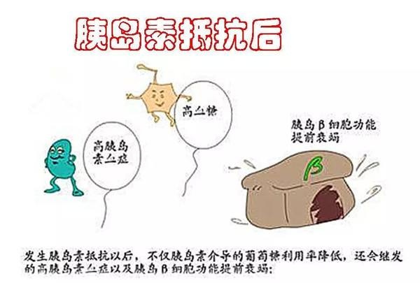 【血糖】他是伴随糖尿病全过程，是导致糖尿病并发症的罪魁祸首，注意调整这一点
