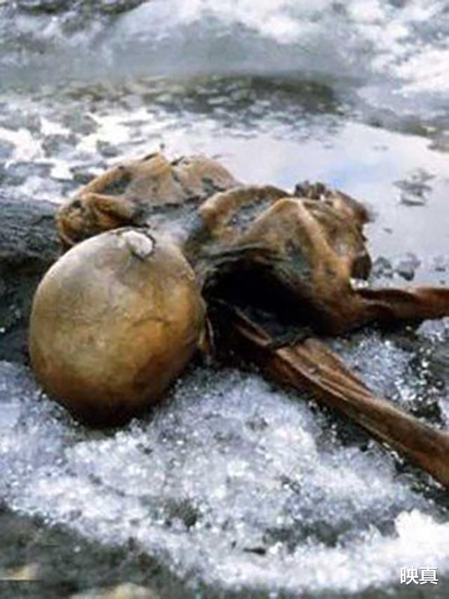 #科学家#阿尔卑斯山发现五千年前“冰人奥兹”,专家解剖揭开离奇死亡原因