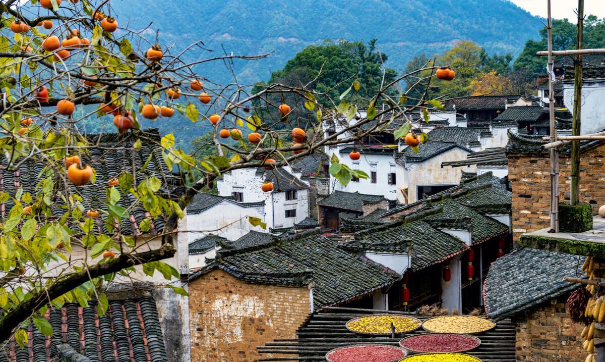 芋头|九月白露后，“三菜二果一肉”记得吃，应时而食，顺应季节度秋天