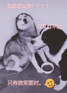 「」#搞笑图#别减肥了,就算你瘦下来了,也还是没人喜欢你