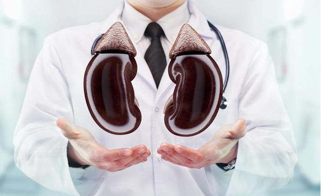 熬夜|男生肾功能下降，谨记少碰四物，戒掉四习，肾脏可能“报答”你