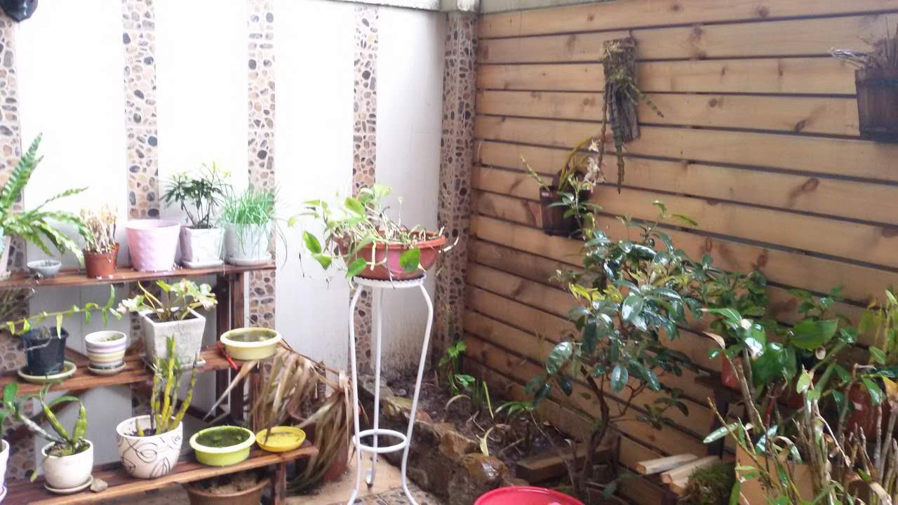 『』180㎡露台造园，买了带露台的房子，老公亲自设计，出门就是花园