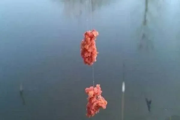 『星露谷物语』拉饵钓鱼用多长钩距最合适？其实和鱼钩大小无关