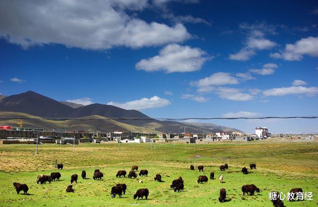 东北大学|录取分数不高的6所985大学,高三党可继续关注,争取“捡漏”