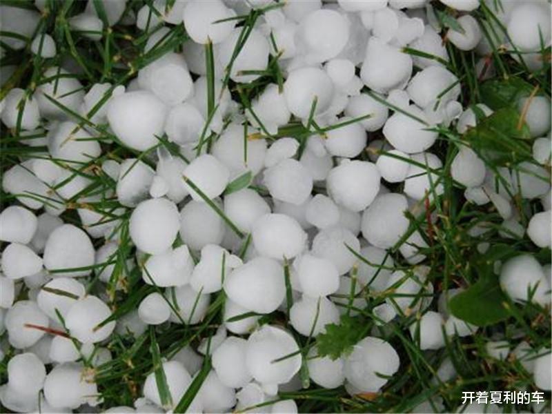 桑塔纳：桑塔纳变“冰雹车”，4S店决定半价出售，内部员工抢购一空！