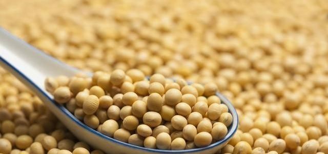 【黄豆】这东西6块钱一斤，含钾量是香蕉的5倍，夏天爱出汗的要多吃