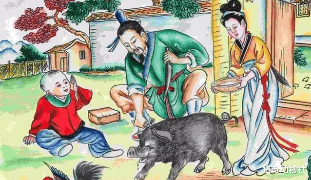 牛肉|中国人为什么主要吃猪肉？美国和欧洲人真的主要吃牛肉吗？