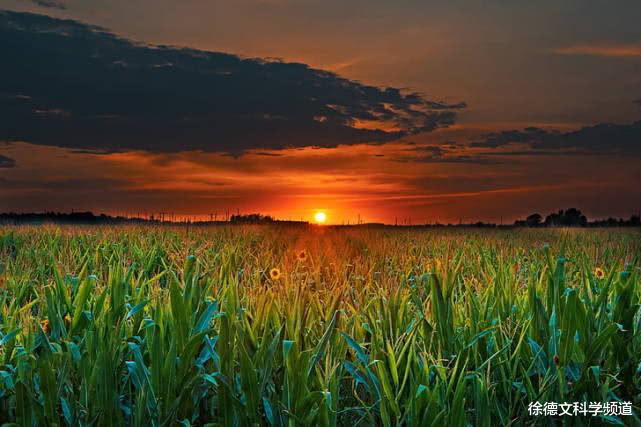 「二氧化碳」真正可怕的现实，十几亿年后才会发生的事，可能会提前到几十年后