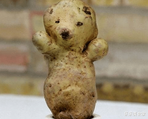 [草莓]8张活久未见的蔬菜照，草莓变蝴蝶，辣椒做鬼脸，看到图6要成精？