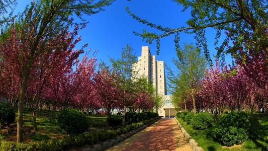 「高校」5所四非高校，这些专业全国前3，好就业、薪资高！考生：值得报