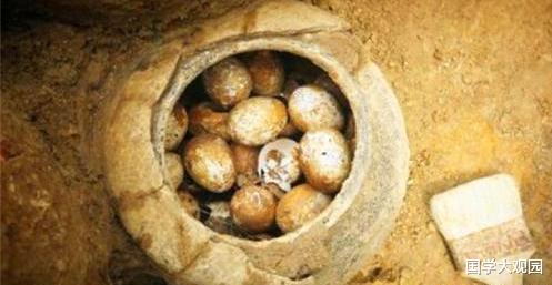 鸡蛋:考古专家挖掘古墓,进行到一半发现鸡蛋,专家:碰都不要碰!