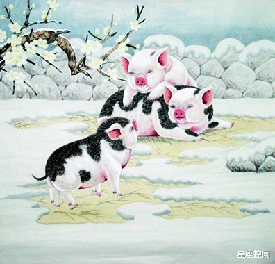 生肖|12月奖金拿到手软，一整年的努力没有白费的三大生肖