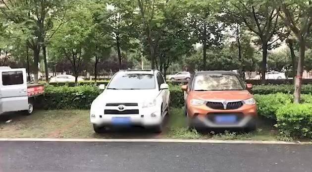 「荣耀x10」网传湖北一私家车数月无人认领车主去世 公安机关核实：他还活着