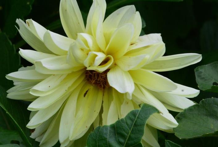 运势|十月上旬开始，运势更上一层楼，财神进门，日进斗金的生肖