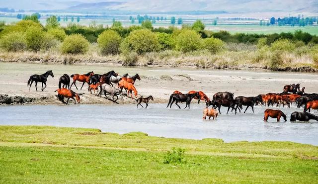 『涠洲岛』越到夏天，越是不能去的9个国内旅行地！