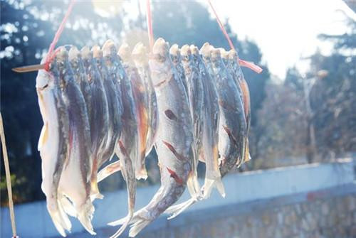 #黄巢#古代法律禁止私盐买卖,那咸鱼怎么算?专家:官府早替你安排好了