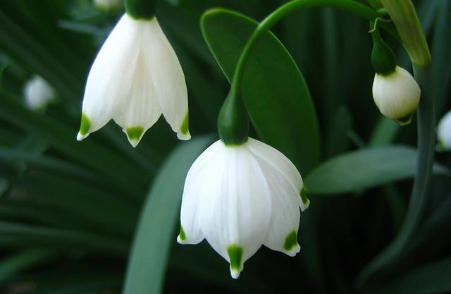 运势|8月,努力有回报,坚持有结果,4生肖熬过苦日子,迎接美好生活