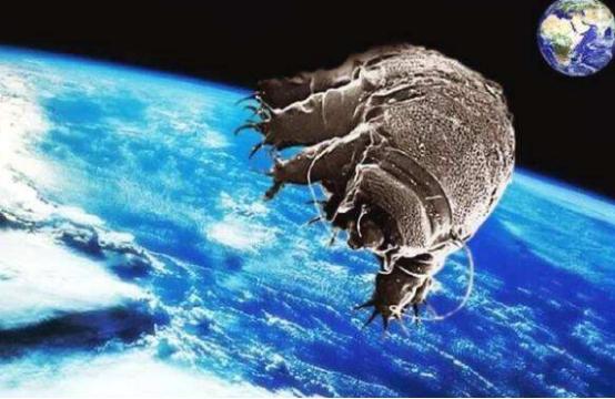 ##若是发现低级文明，人类将会怎么做？看完有点让人心底发毛