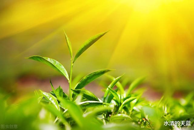 水星|8月运势有好有坏的星座，该来的总会来，吉星的力量助你冲破重围